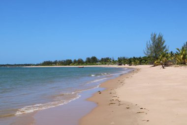 Brezilya 'da çölde güneşli bir gün