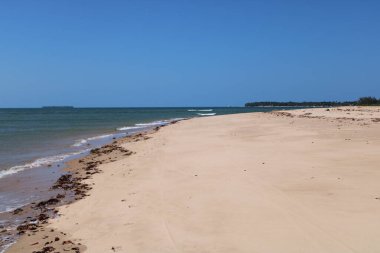 Brezilya 'da çölde güneşli bir gün