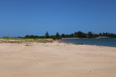 Brezilya 'da çölde güneşli bir gün