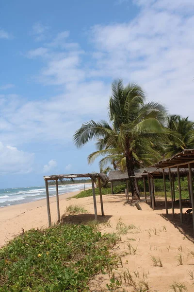 Cabana Praia Deserto Brasileiro — Fotografia de Stock