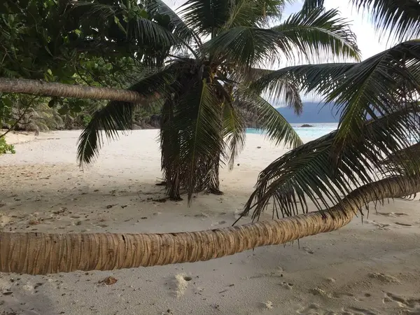 Zonnige Dag Een Woestijn Strand Seychellen — Stockfoto