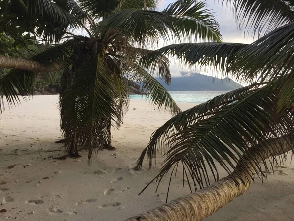 Zonnige Dag Een Woestijn Strand Seychellen — Stockfoto