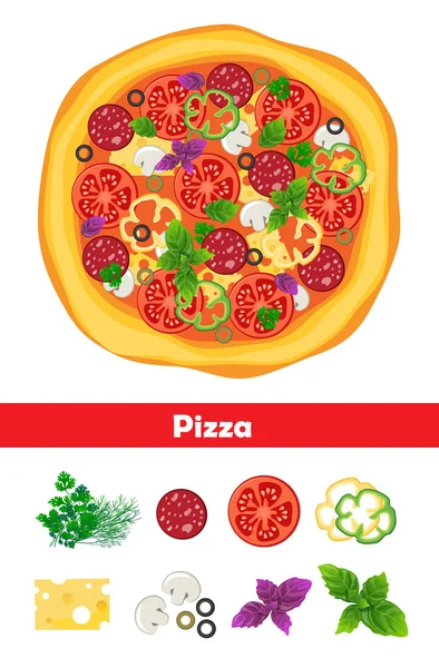 Pizza — Stockvektor