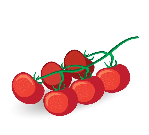 Tomates frescos — Vector de stock