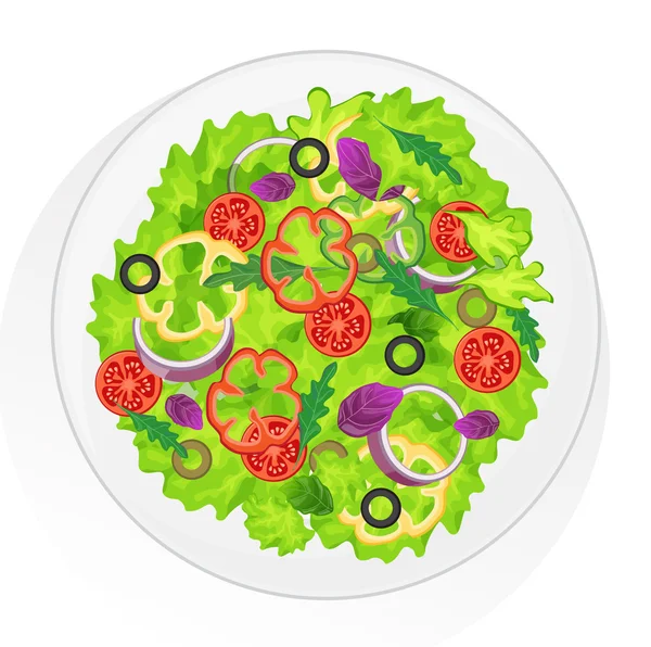 Fresh salad — Stock Vector