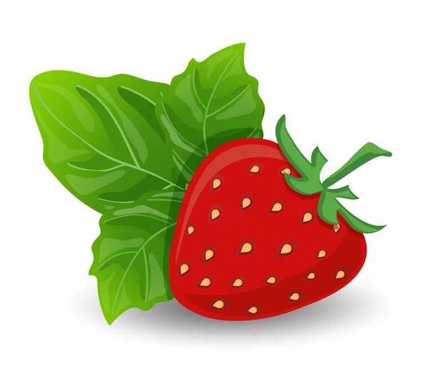 Fresas frescas — Vector de stock