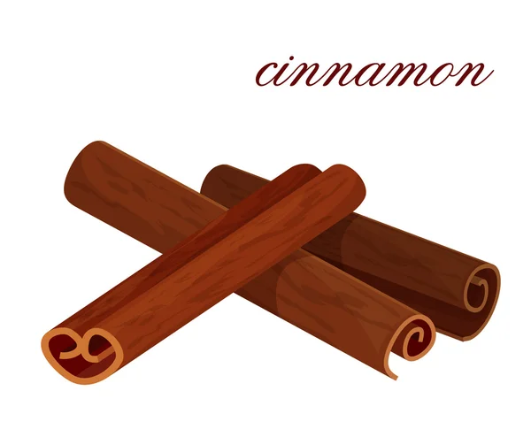 Cinnamon — Stock Vector