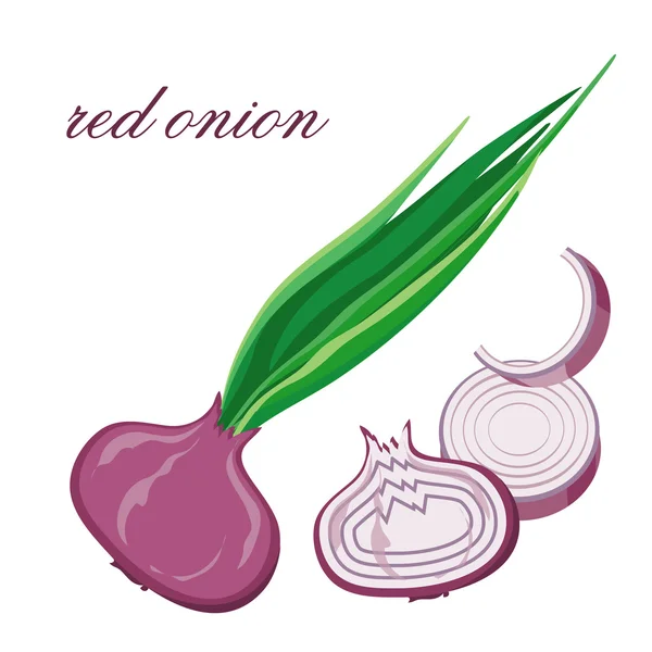 Red onion — Stock Vector