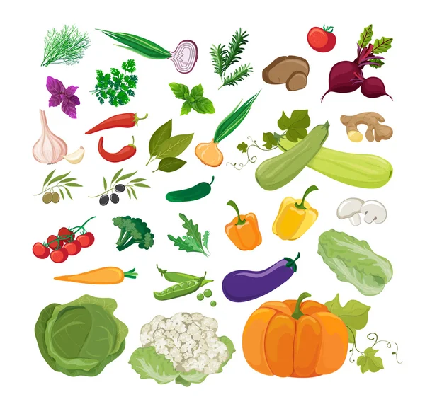 新鲜和多汁的蔬菜 — 图库矢量图片