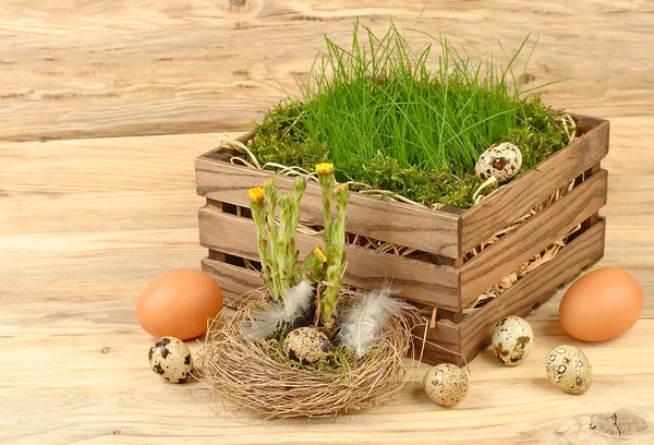 Fresh grass in a wooden box and Easter eggs on a wooden background. An easter background with space for the text. — Stock Photo, Image