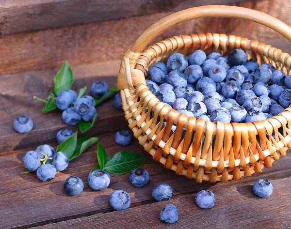 Ripe blueberry on an old gray wooden background.    Selective focus. — Stock Photo, Image