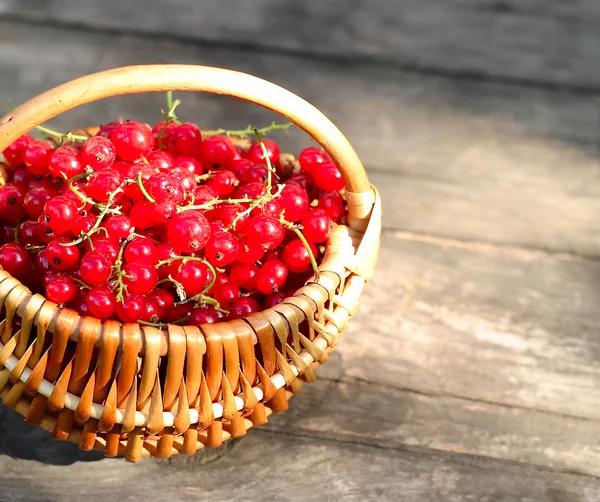 Ribes rosso in un cesto in raggi di sole su uno sfondo di legno con spazio per il testo . — Foto Stock