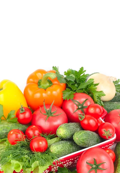 Fresh vegetables on a white background with space for the text. — Stock Photo, Image