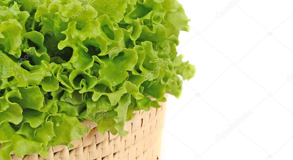 Lettuce leaves in a basket on a white background.