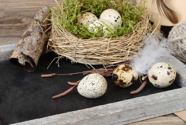 Easter eggs in nests and feathers on a blackboard on a wooden background. Easter background. — Stock Photo, Image