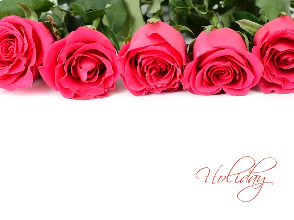 Bouquet from five bright pink roses on a white background. — Stock Photo, Image