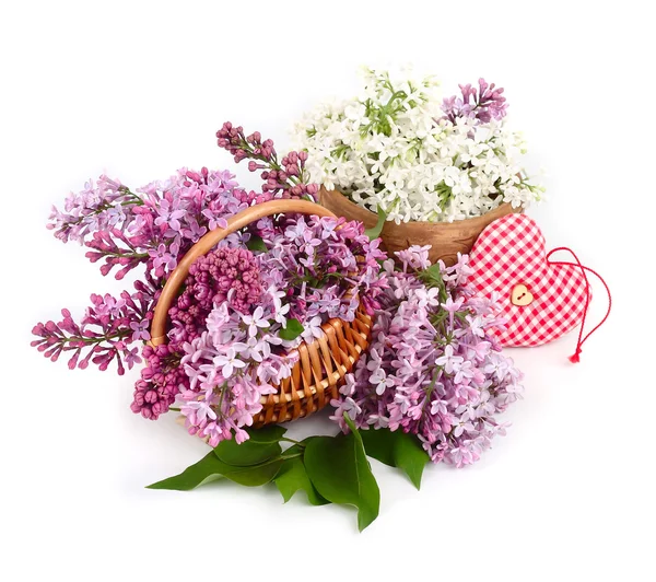 Violet and white lilac in a basket and textile checkered heart on a white background. — Stock Photo, Image