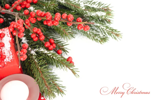 Röda bär på snötäckta grenar av en julgran. En jul bakgrund med en plats för text. — Stockfoto