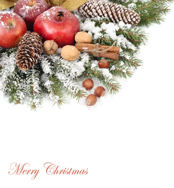 Apples, pomegranates, cones and nuts on snow-covered branches on a white background. A Christmas background with a place for the text. — Stock Photo, Image