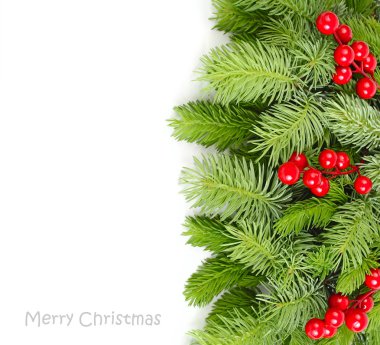 Bir Noel ağacı ve beyaz zemin üzerine kırmızı meyveler kabarık dallarında. Noel olarak arka plan metni için bir yer. Üstten Görünüm.