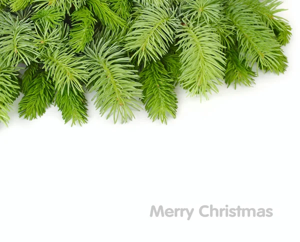 Kabarık beyaz zemin üzerinde bir Noel ağacı dalları. Noel olarak arka plan metni için bir yer. Üstten Görünüm.