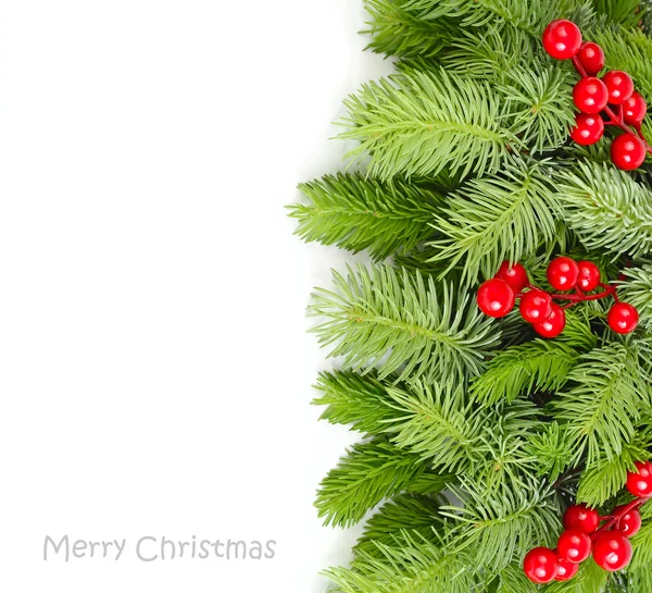 Flauschige Zweige eines Weihnachtsbaums und rote Beeren auf weißem Hintergrund. einen weihnachtlichen Hintergrund mit einem Platz für den Text. Ansicht von oben. — Stockfoto