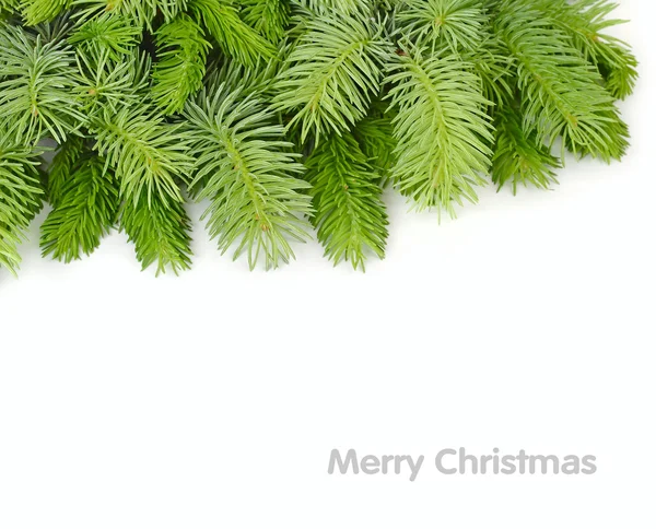 Pluizig takken van een kerstboom op een witte achtergrond. Een achtergrond van Kerstmis met een plek voor de tekst. Bovenaanzicht. Rechtenvrije Stockafbeeldingen