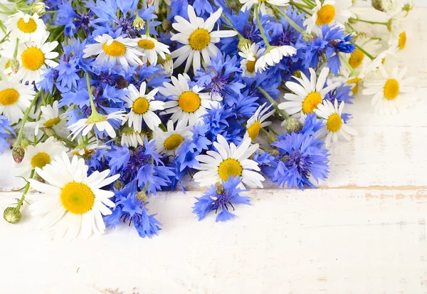 Flores de milho e camomilas frescas em um fundo de madeira branco gasto. Um fundo de flor com um lugar para o texto . — Fotografia de Stock