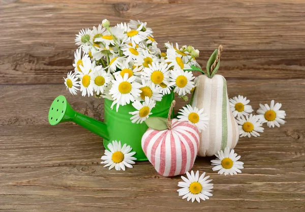 Camomiles in a watering can and textile decorative fruit on a dark wooden background. Summer background. — Stock Photo, Image