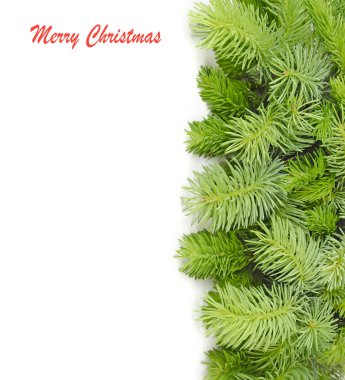 Kabarık beyaz zemin üzerinde bir Noel ağacı dalları. Bir Noel arka plan metni için bir yer ile.