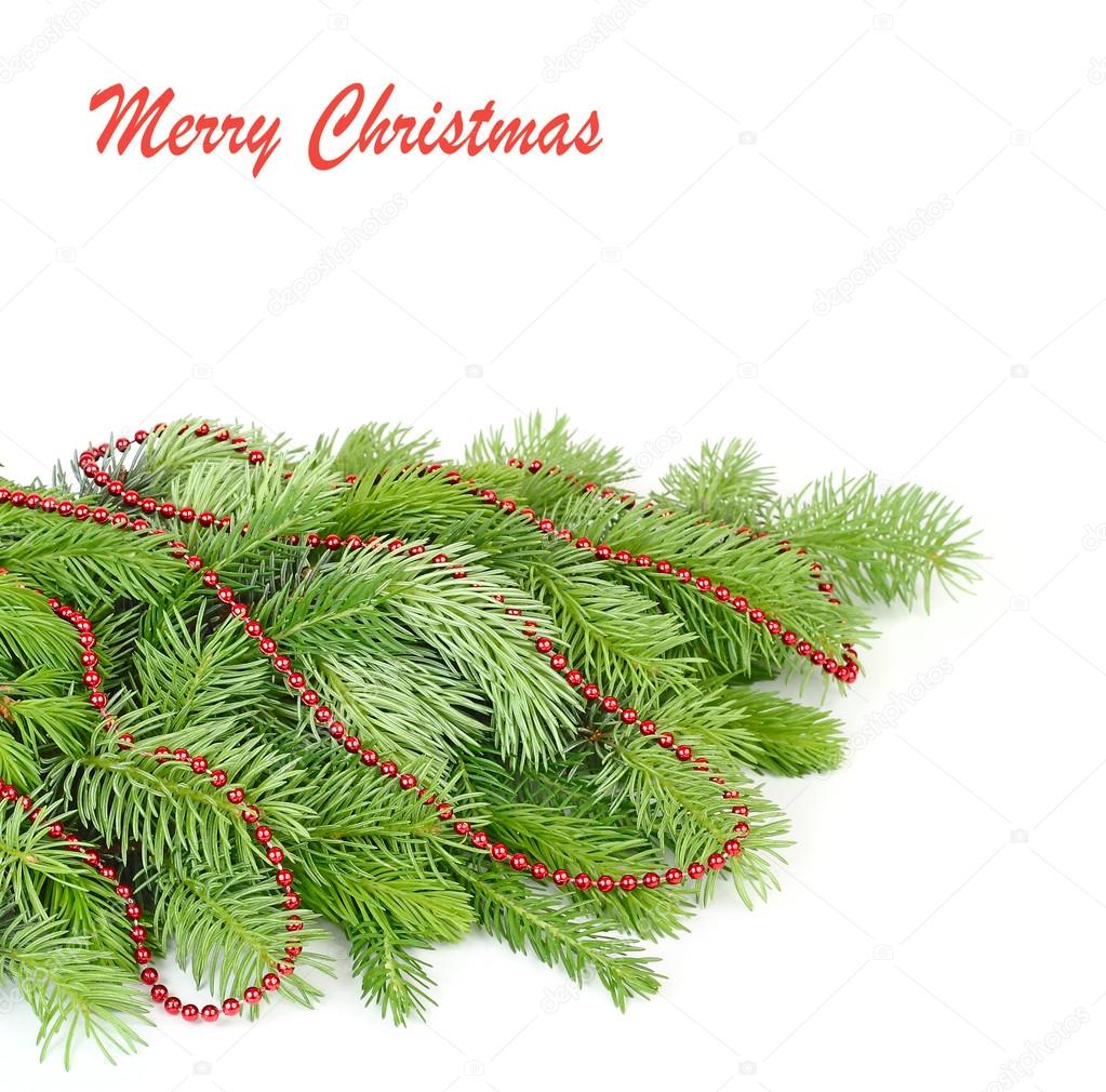 Red beads on fluffy branches of a Christmas tree on a white background. A Christmas background with a place for the text.
