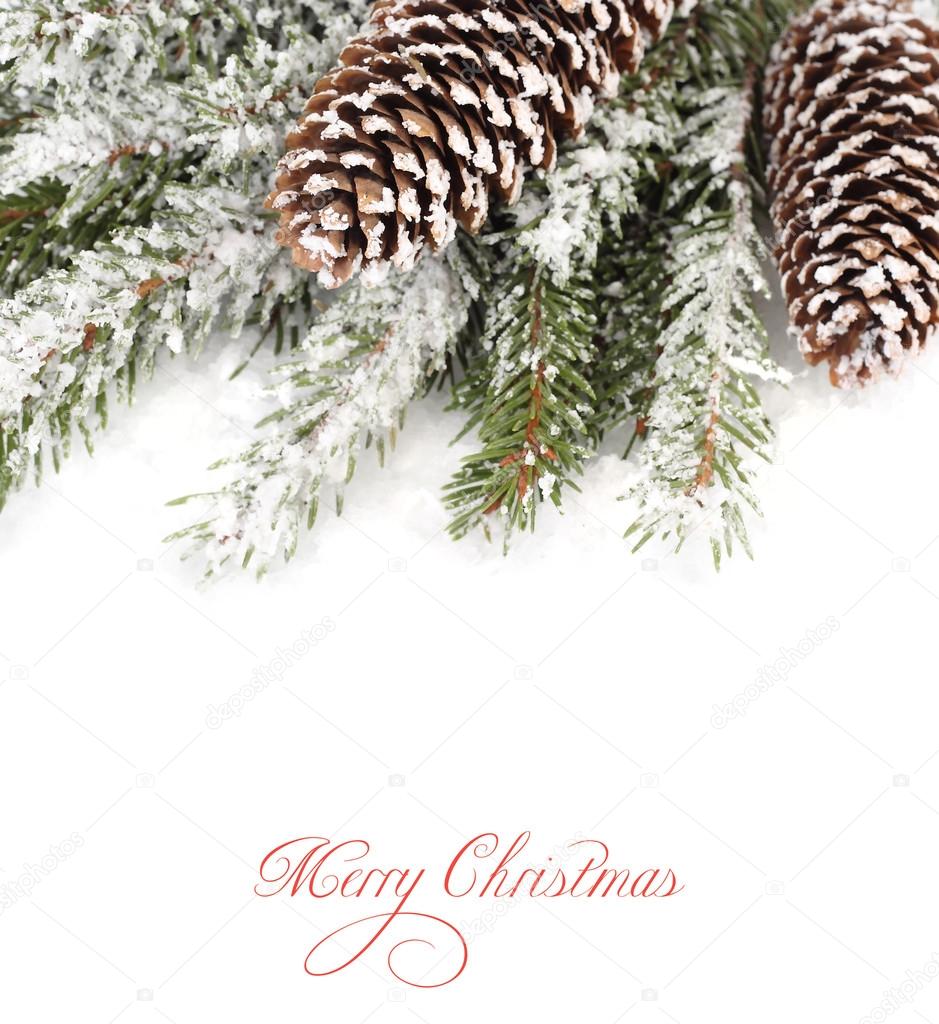 Cones on snow covered branches of a Christmas tree A Christmas background with a place for the text — ZdjÄ™cie od TATA Y