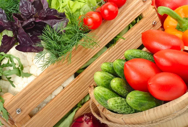 Färska mogna grönsaker i en trälåda. — Stockfoto