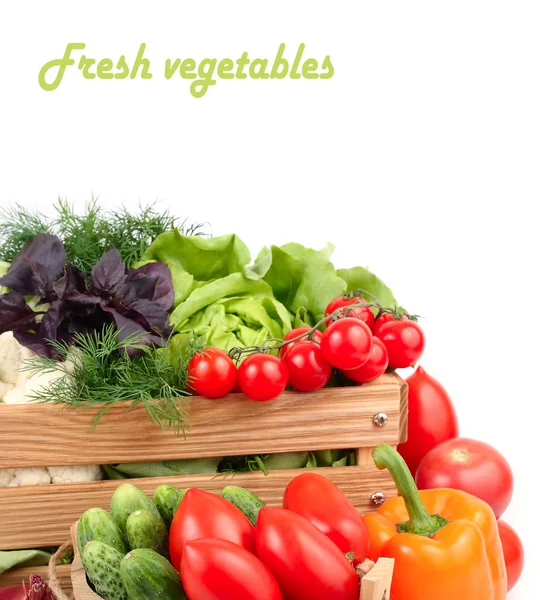 Fresh ripe vegetables in a wooden box on a white background with a place for the text. — Stock Image Fresh ripe vegetables in a wooden box on a white background with a place for the text. Stock Picture