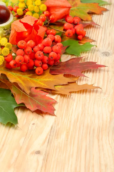 Höstens bakgrund med löv, kastanjer och en mountain ash med en plats för texten. Höstens sammansättning på en trä bakgrund. — Stockfoto