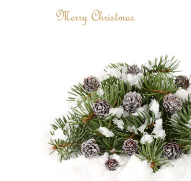 Beyaz zemin üzerinde bir Noel ağacının dalları karla kaplı üzerinde gümüş koniler ile Noel kompozisyon. Bir Noel arka plan metni için bir yer ile.