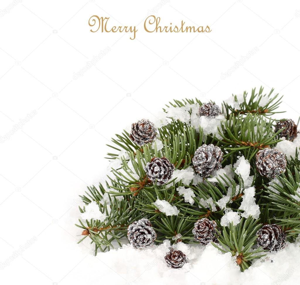 Christmas composition with silvery cones on snow-covered branches of a Christmas tree on a white background. A Christmas background with a place for the text.