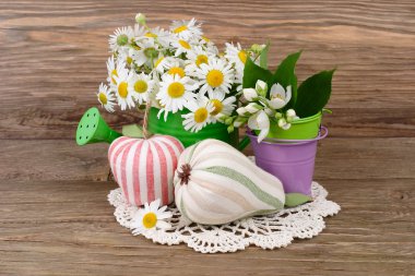 Camomiles sulama olabilir ve Tekstil dekoratif bir yeşil elma ve armut ahşap arka plan üzerinde. Bir yaz çiçek arka plan metni için bir yer ile.