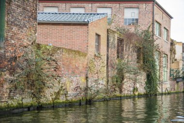 Ghent binaların duvar süslemeleri