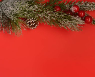 Noel ağacının yeşil dalları, koni, kırmızı arka planda böğürtlen, Noel kartı, mektup. Düz Yatay, Üst Görünüm. Metin için alanı kopyala.