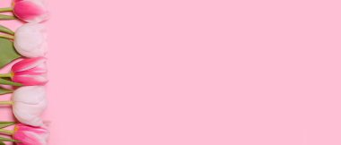 Pembe arka planda pembe laleler. Düz yerde, üst tarafta. Aşk, Uluslararası Kadınlar Günü, 8 Mart, Mutlu Paskalyalar, Anneler Günü ve Sevgililer Günü konsepti. Uzayı metin için kopyala. Pankart