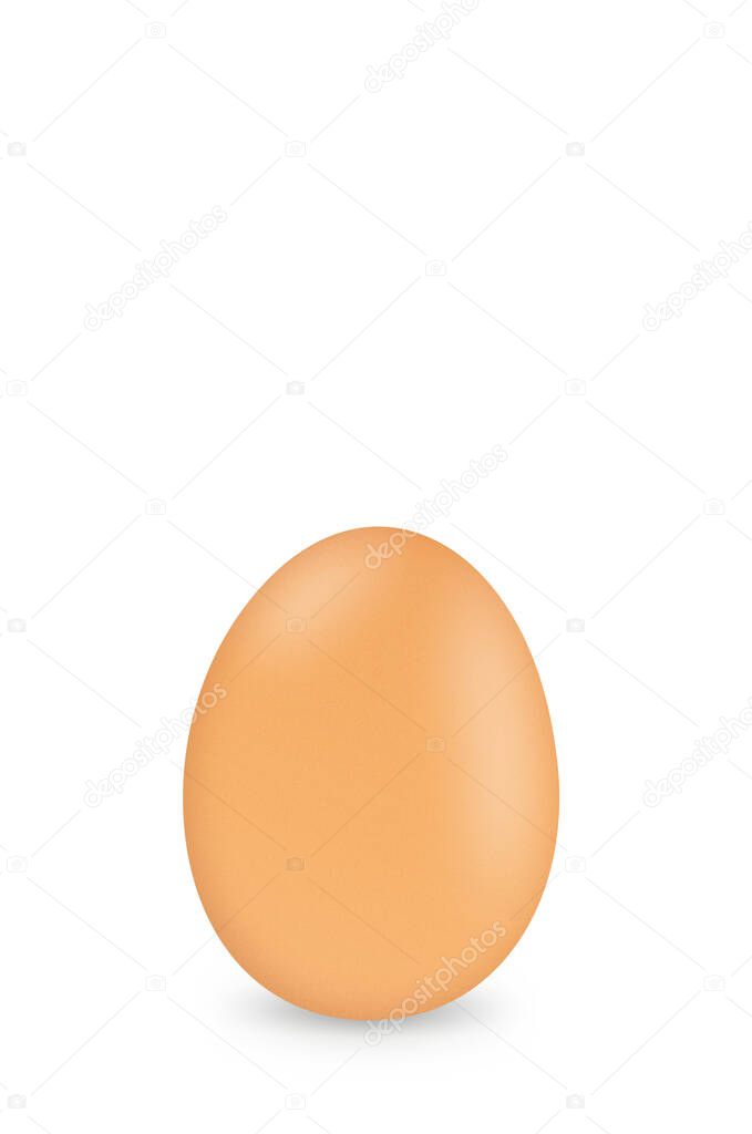 Egg close up isolated on white background.Copy space for text