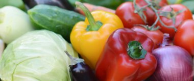 Taze organik sebzeler. Lahana, biber, patlıcan, havuç, salatalık. Çiğ sağlıklı gıda konsepti. Biyolojik ürünler, biyolojik ekoloji kavramı. Pankart