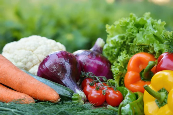 Colorido Conjunto Alimentos Orgánicos Verduras Frescas Crudas Comida Vegetariana Saludable —  Fotos de Stock