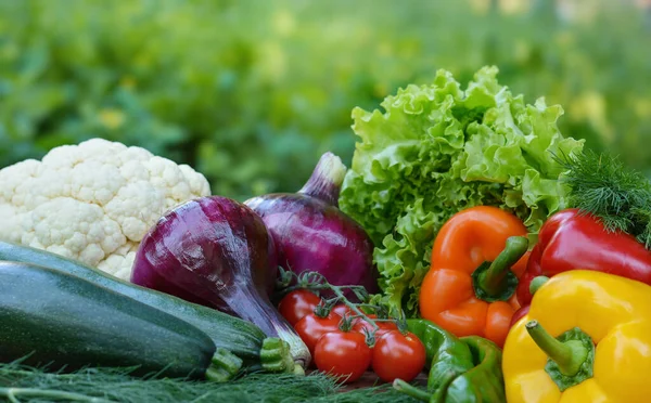 カラフルなセット有機食品 新鮮な生野菜 ヘルシーなベジタリアンフード — ストック写真