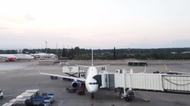 Türkiye, Antalya, 15 Mayıs 2021. Bavulları ve yiyeceği uçağa yüklüyorum. Erkek işçiler yolcu bagajlarını havayollarının kargo bölümüne yükler. Terminalden kalkan uçaklar..