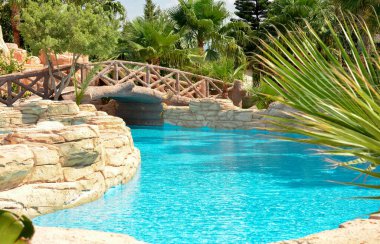 Havuzu, palmiye ağaçları, ahşap köprüsü olan güzel tropik bir manzara. Tropik doğa, güzel bir manzara. Tatil ve tatil kavramı. Pankart