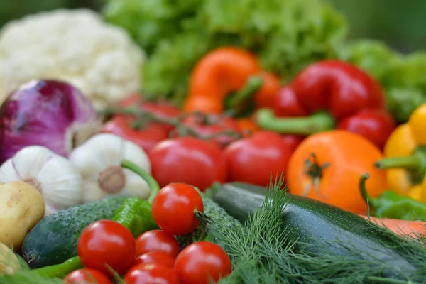 Gyönyörű Friss Bio Zöldségek Kertészkedés Egészséges Táplálkozás Vegetarianizmus Fogalma — Stock Fotó