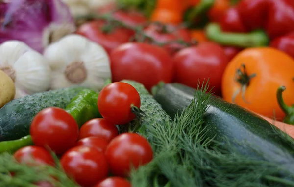 Ensemble Coloré Aliments Biologiques Légumes Crus Frais Alimentation Végétarienne Saine — Photo