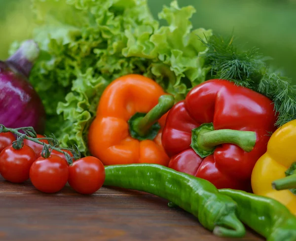 ぼやけた緑の菜園の背景に美しい新鮮な有機野菜 健康的な食事 菜食主義の概念 テキストのコピースペース — ストック写真